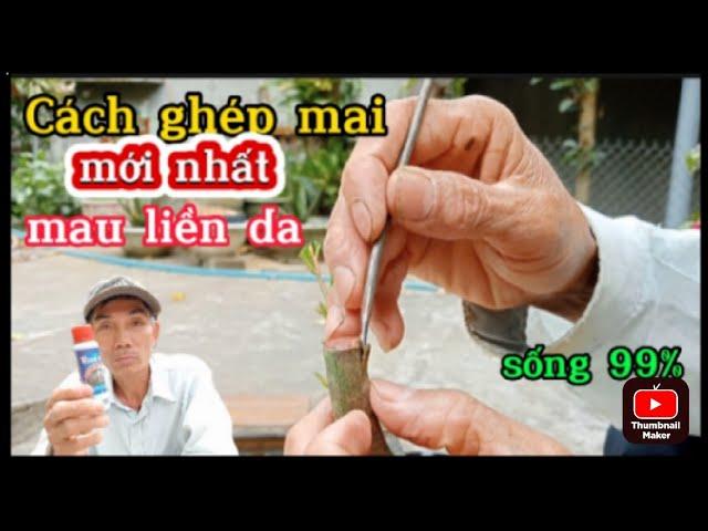 Cách Ghép Mai Mới Nhất,Mau Liền Da Sống 99%|@anhbayxunau