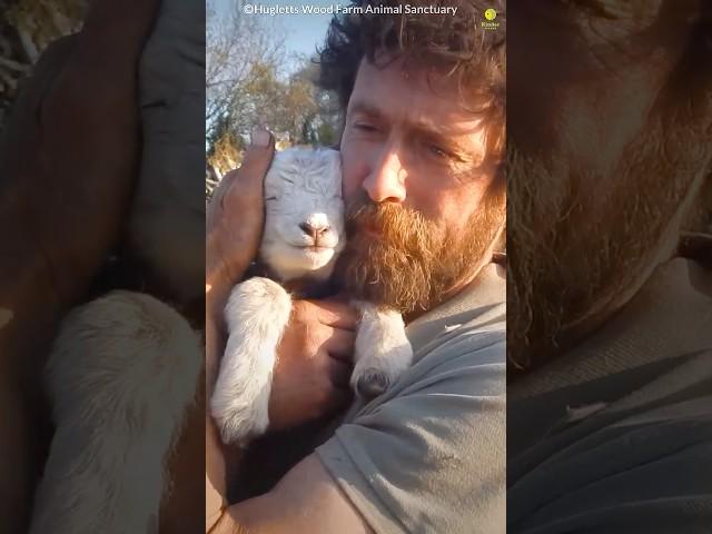 Animals teach us love ️