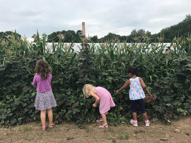 The Evolution of Stone Acres Farm