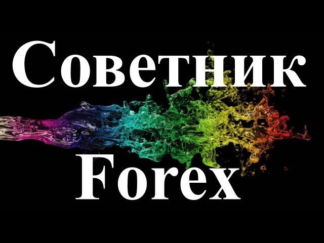 Как зарабатывать на Forex от 30 000 рублей в Месяц? Лучший советник форекс