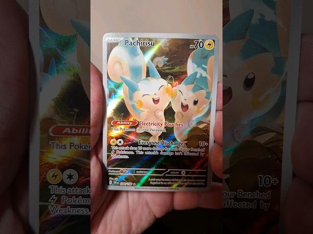 Scarlet & Violet strike again! IR Pachirisu #rarepulls #pokemon #tcgpokemon #pachirisu