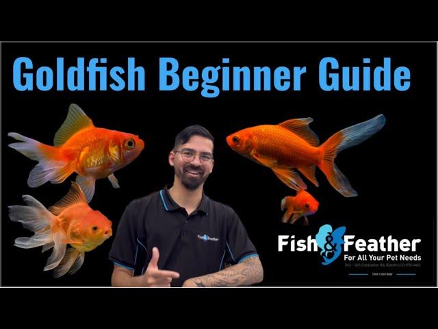 Goldfish Beginner Guide.