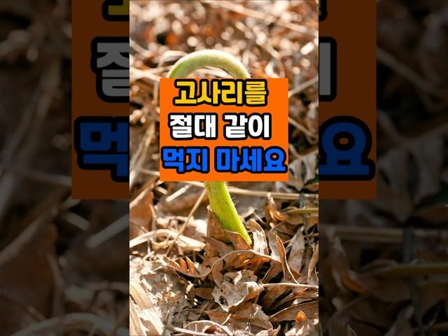 고사리를 절대 같이 먹지 마세요 #면역 #음식 #건강 #제철음식 #고사리