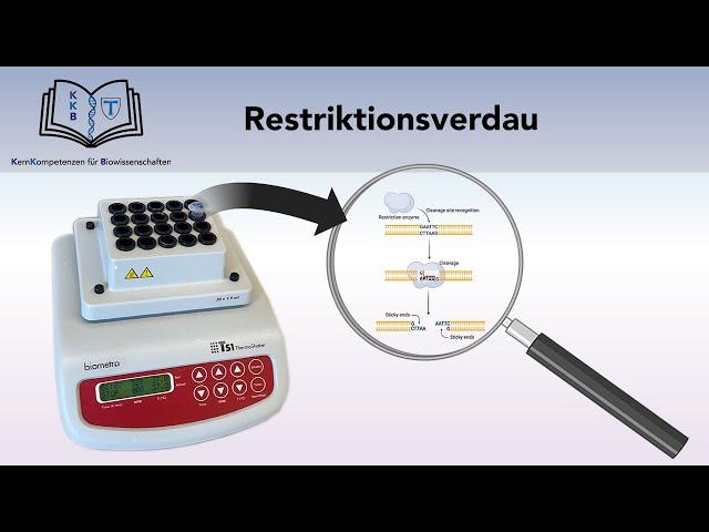 RESTRIKTIONSVERDAU