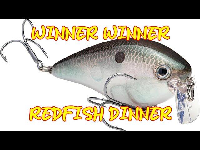 Catching Red Fish And Giving Away Wake Baits!!