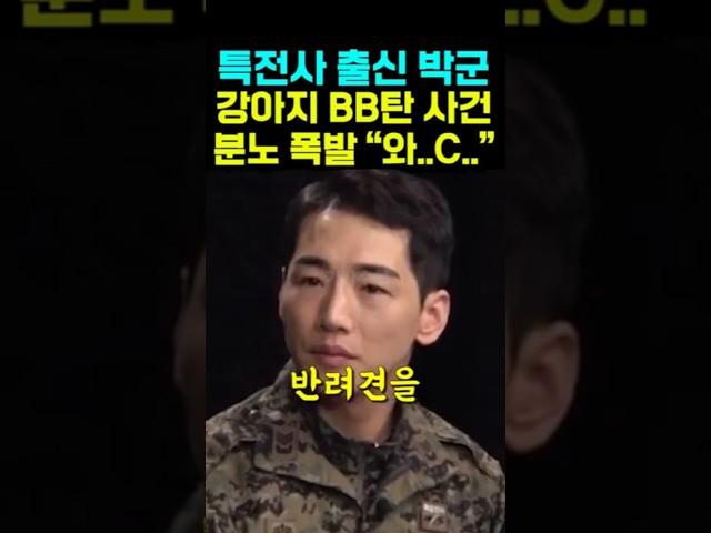 특전사 출신 박군 강아지 BB탄 사건 분노 "와 C"