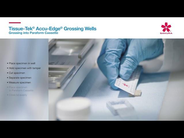 Tissue Tek Accu Edge Grossing Wells Grossing into Paraform Cassette