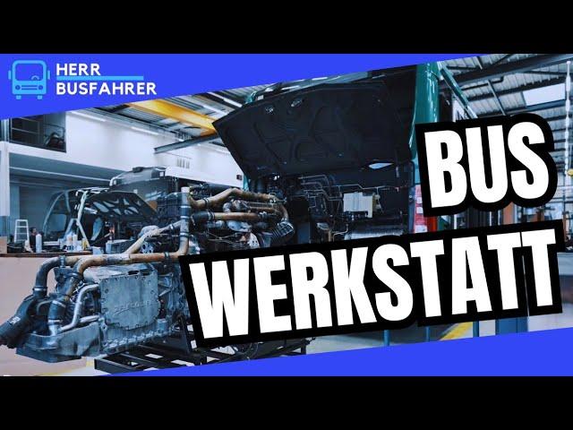 Ein Blick Hinter die Kulissen von Daimler Buses Schweiz AG  #herrbusfahrer