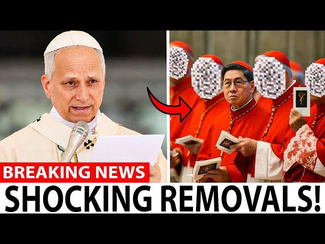 Pope Leo XIV Is Cleaning House — These 6 Cardinals Face REMOVAL...