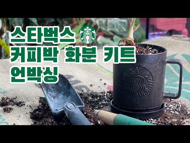 스타벅스 아메리카노 6잔 커피 찌꺼기로 만든 화분 키트 언박싱 #식물 #식물튜브 #식물집사 #스타벅스