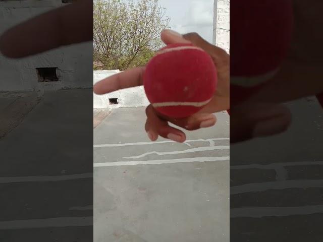tricks woods ball spin ki#trending #cricket #chetan (5)