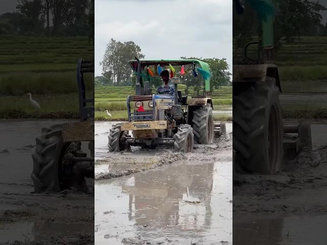 Swaraj 4wd tractor working in mud #shorts #trending #tractor