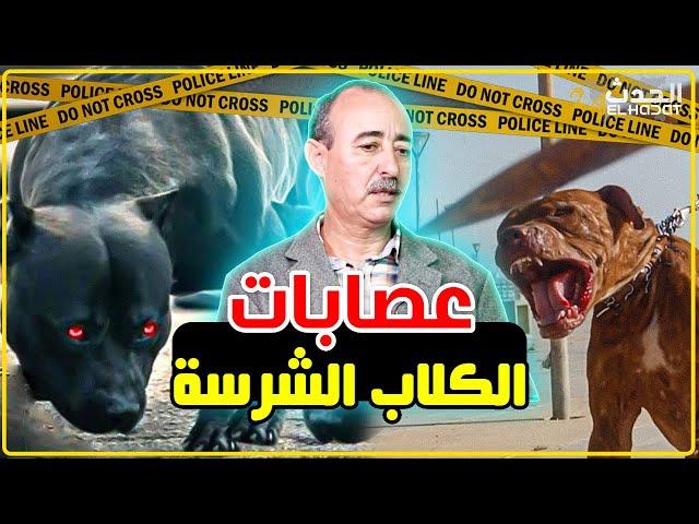 الطاهر سعدون..عصابات الكلاب الشرسة..كان كيشري أخطر الكلاب باش يطلقهم على الأمن...