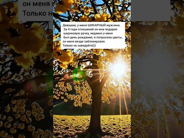 завидуем молча #жизненныеистории #короткиеистории #этожизнь #реальныеистории