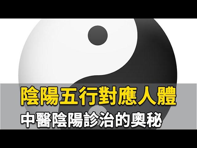 陰陽五行對應人體 中醫陰陽診治的奧秘｜ 連永祥 醫師｜306｜談古論今話中醫｜中醫知識CooL