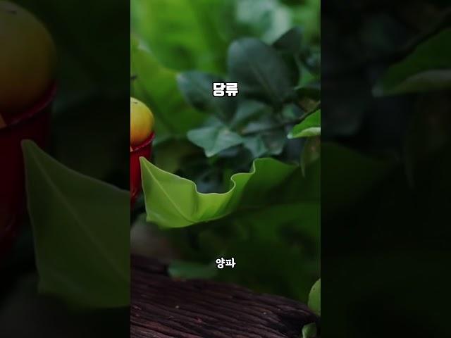 나이가 들수록 음식에서 반드시 피해야 하는 3가지 #2 당류