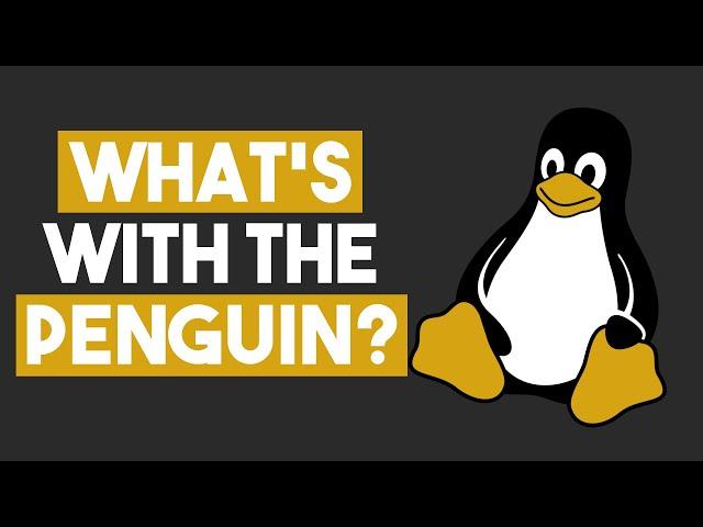 What's With the Penguin?