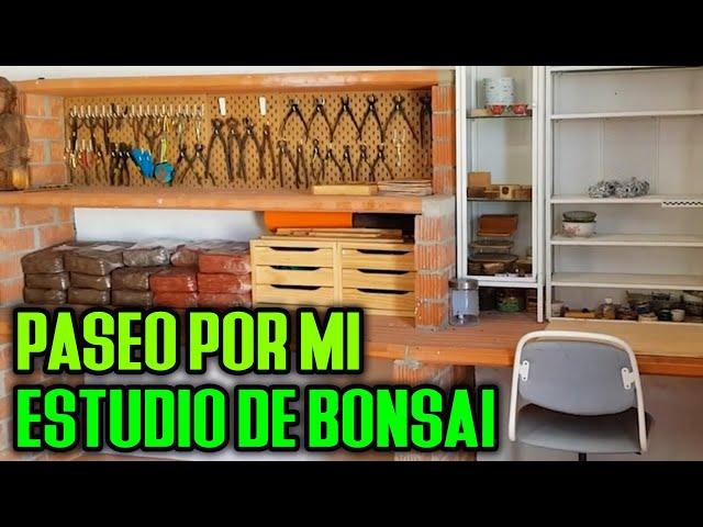 Paseo for my bonsai studio Kaeru-en Frog Garden