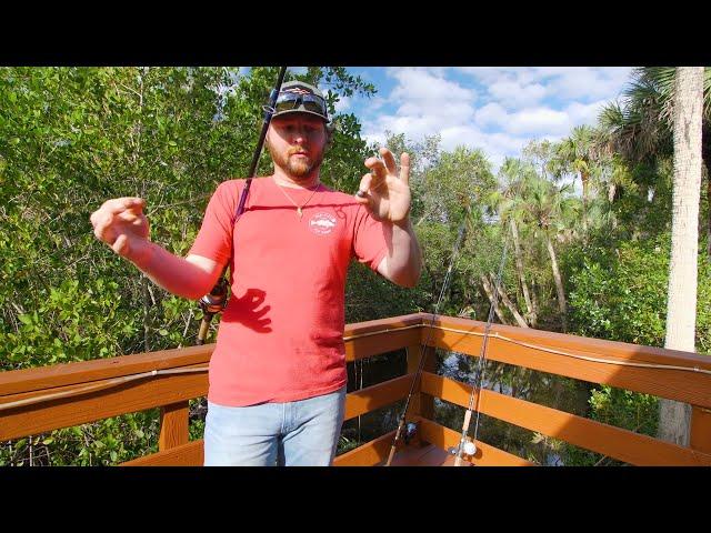 Best Live Bait Rigs for Snook & How To Use Them