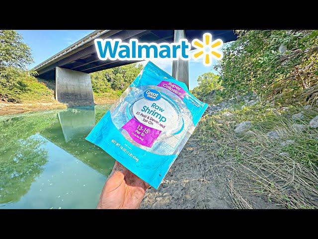 Highway Bridge Fishing With SUPER COLOSSAL SHRIMP!!! (Constant Action)