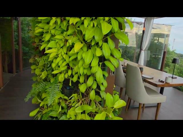 Virtual Tour Chira Glamping / San Lucas Treetop Dining Experience