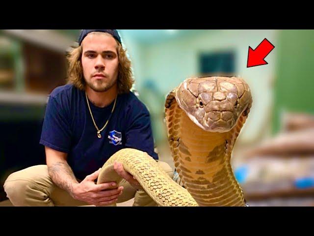 How to Handle VENOMOUS Snakes! (Safely)