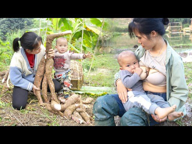 Fullvideo 380 Day Single Mother Life Raising Children Alone - Harvesting, Cooking