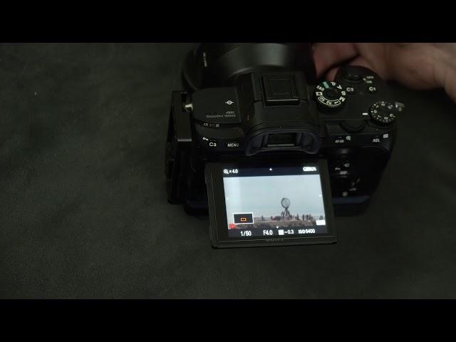 sony a7iii/A7R3/A9 overriding AF/MF lens switch with a button to check focus in video mode