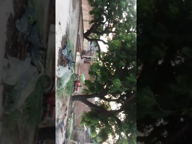 sumit Kumar 1234