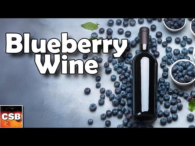 What to Know When Fermenting Fruit -Blueberry Wine One Year