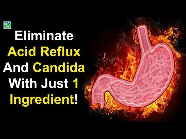 Eliminate Acid Reflux And Candida With Just 1 Ingredient | Home Remedies