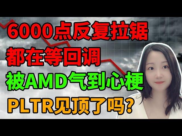 空头要反攻了吗？NaNa说美股(2024.11.13)