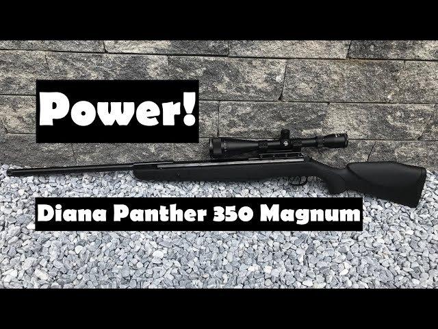 Diana Panther 350 Magnum CBB Review Shooting Test