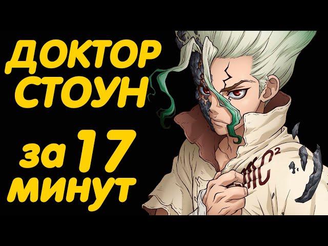 ДОКТОР СТОУН ЗА 17 МИНУТ