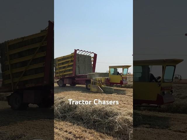 New Holland Stack Cruiser #tractor #farmequipment #farmmachinery