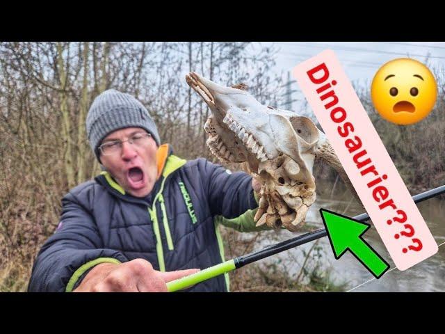 GREWALD SENSATION: WILL WE FIND A DINOSAUR while fishing at the lake???