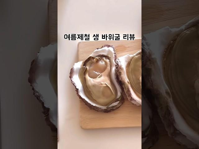 크림 맛이 나는 굴이 있다고? #바위굴