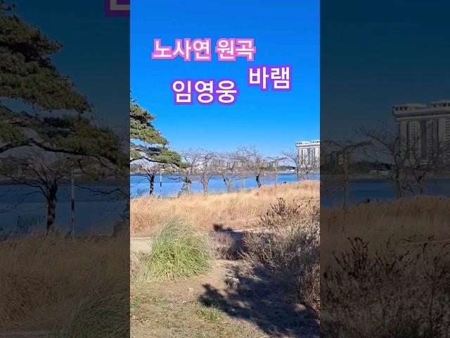 #바램 #노사연 #임영웅