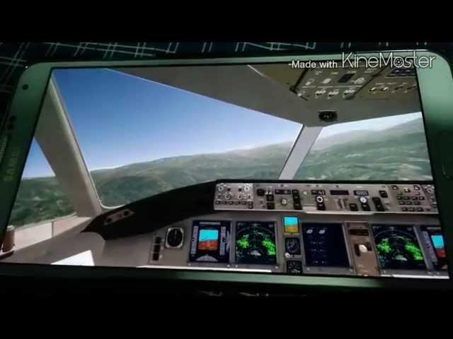 Guess the Flight Sim