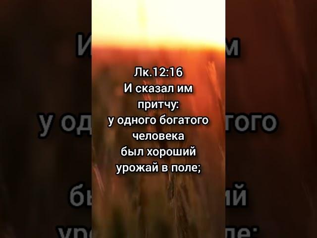Евангелие дня