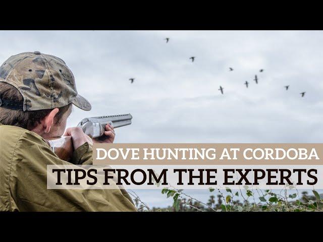 Dove Shooting in Cordoba - Best Tips from Field Manager and Partner: Horace and Jack