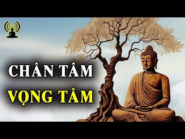 Tâm Bất Biến Tâm Tạo Cảnh - Tâm Loạn Tánh Cảnh Tạo Tâm.