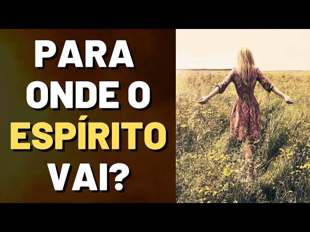 O QUE ACONTECE APÓS A MORTE SEGUNDO O ESPIRITISMO I Canal Espírita Responde #132