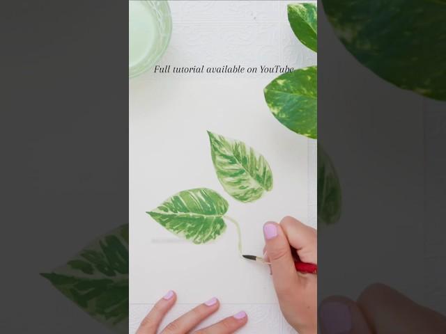 Calling all my plant lovers! What should I paint next? Full tutorial available now! #gardenart