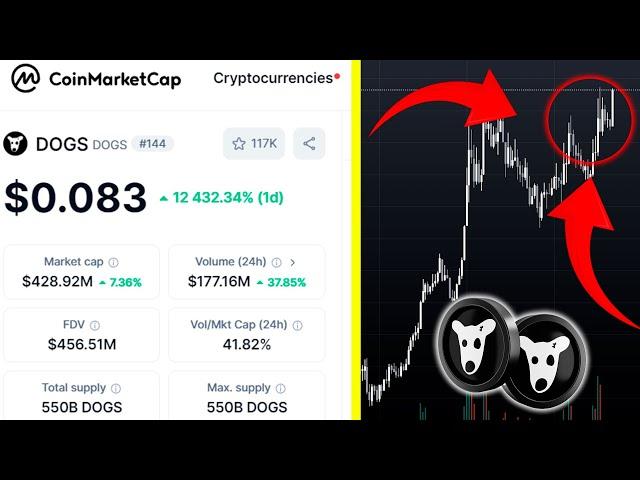 ️DOGS $0.08️ЕБ*АТЬ ПОШЁЛ РОСТ !!! MEM DOGS ПАВЕЛ ДУРОВ НАЧАЛ ПИАРИТЬ ПРОЕКТ ?! ?! ?!