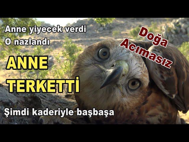 YAVRU NAZLANDI/ANNE DE TERKEDİP GİTTİ