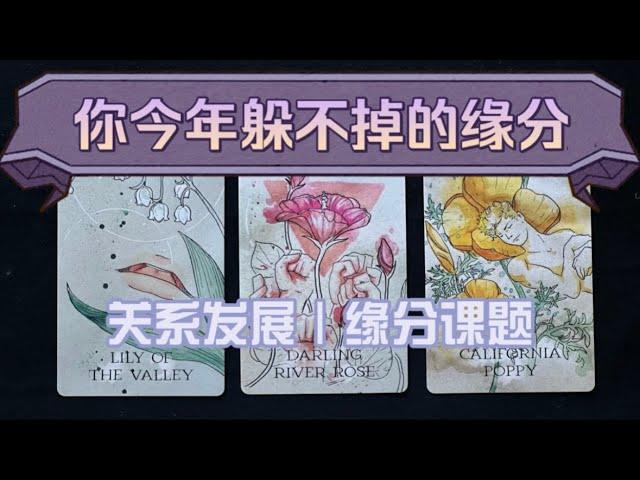 你今年躲不掉的缘分？关系发展｜缘分课题（tarot reading｜pick a card｜timeless）