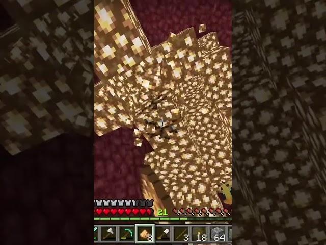 Unfriendly nether  #minecraft #minecraftletsplayseries #twitch #letsplayseries #funny ￼