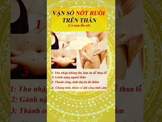 3 Điều Huyền Cơ Tử Vi Phong Thủy Bạn Nên Lưu Ý | Khám Phá Huyền Cơ