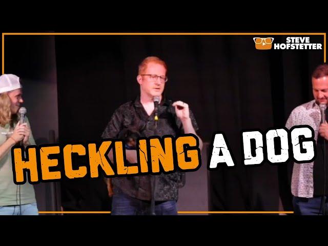 Heckling a Dog - Steve Hofstetter